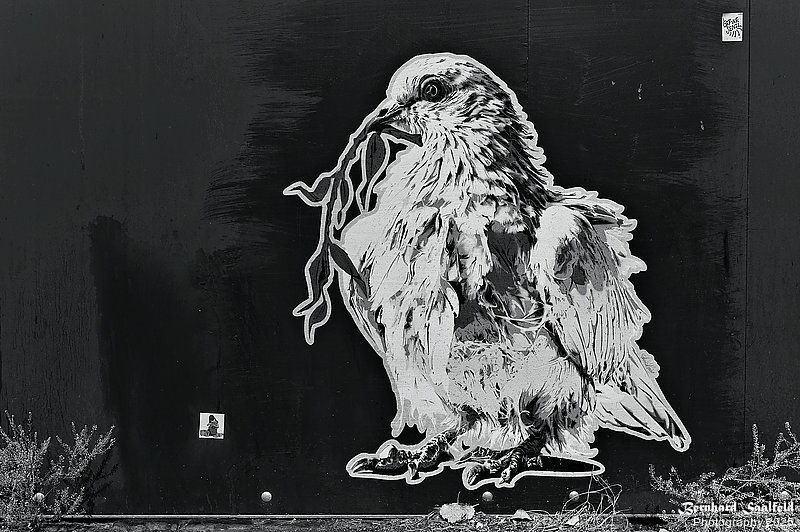 Bernhard Saalfeld - Hard Times